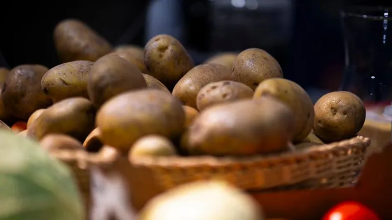 Volunteers distributing potatoes to Berlin residents as part of the Great Potato Rescue initiative.