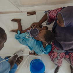 Preventive cholera vaccination 2026